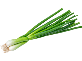 Green onion stalks isolated on transparent background. Perfect for food, ingredient, and cooking design.