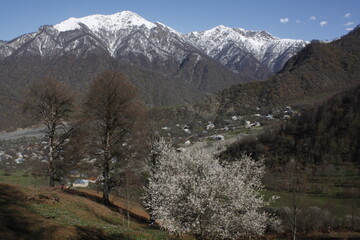 A sunny spring day in a mountain village