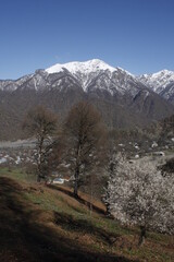 A sunny spring day in a mountain village