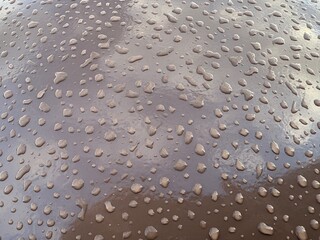The glossy brown surface is covered with numerous water drops, creating a dynamic and material visual effect.