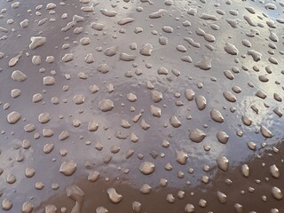 The glossy brown surface is covered with numerous water drops, creating a dynamic and material visual effect.