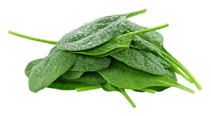 Pile fresh spinach leaves in drops of water isolated on a transparent background. Full depth of field. PNG.
