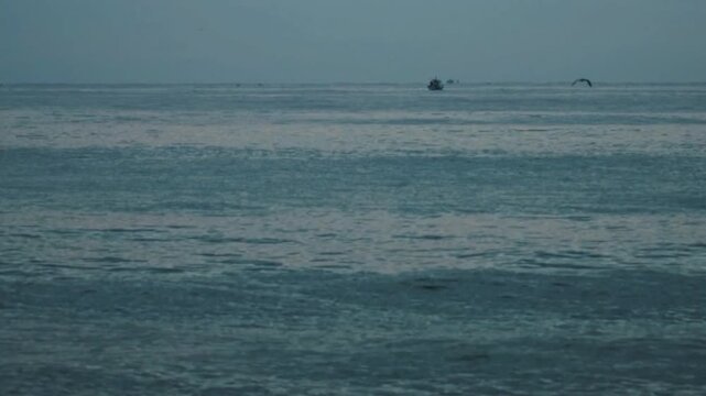 kite surfing on the beach