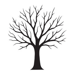 Silhouette of a bare deciduous tree on white background