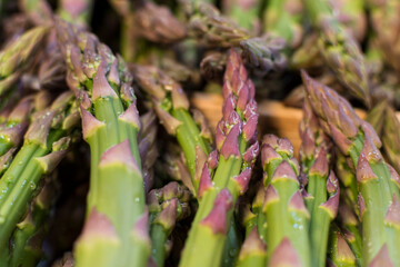 Lot d'asperges directement chez le producteur local, r&eacute;gion Occitanie, Sud de la France