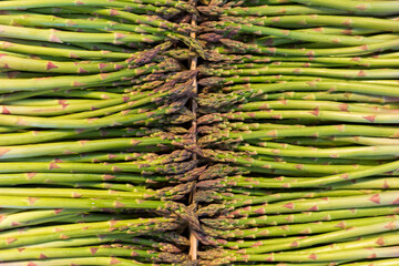 Lot d'asperges directement chez le producteur local, r&eacute;gion Occitanie, Sud de la France