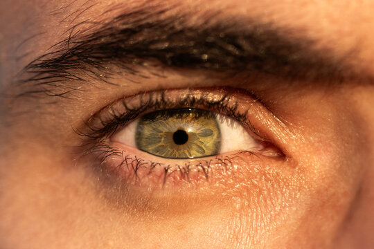 Close up of a man eye in natural Danish light