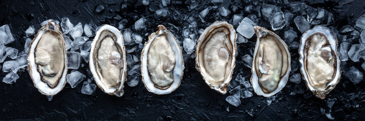 Fresh raw oysters on ice panorama, overhead flat lay view on a black slate background, a panoramic banner