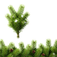 Naklejka premium pine branch