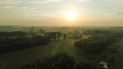 Early morning mist over green forest landscape