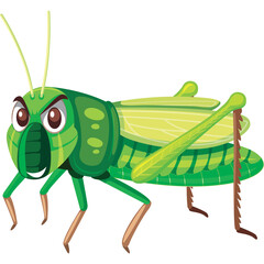 Green Grasshopper Insect With Angry Eyes And Transparent Background Detailed Illustration