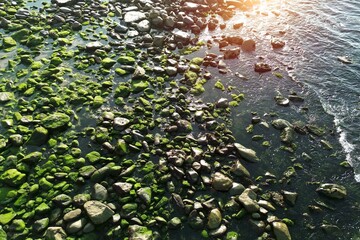Rocky bay with summer coastal landscape