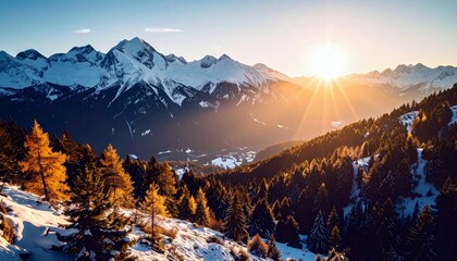 A breathtaking view of snow-covered mountain peaks bathed in the warm glow of a rising sun, with a dense pine forest in the foreground.