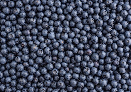 Macro top view of fresh ripe blueberries creating a healthy fruit background texture for design