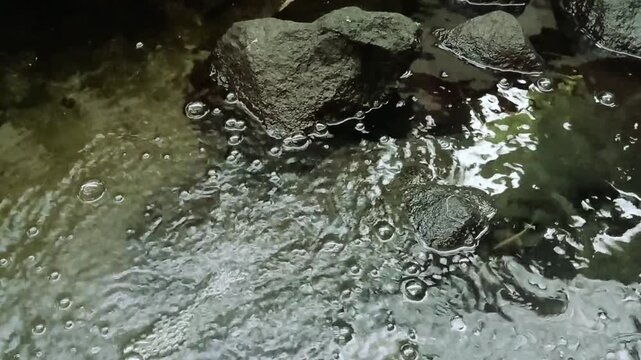 water bubles in the green rocky river