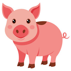 cartoon pig cartoon