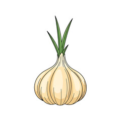 Detailed illustration of a single fresh onion with green sprouts emerging from its top