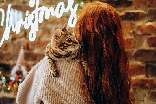 A young woman holds her beloved Bengal cat in her arms. Bengal cat breeder.