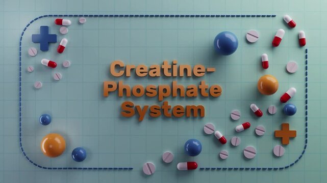 athletic health and energy details, muscle energy systems and recovery strategies for athletes, visual representation of atp replenishment and sports performance enhancement techniques