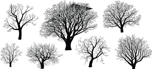 Collection of intricate leafless tree silhouettes with detailed branches, natural winter forest elements, seasonal botanical artwork, and organic landscape illustration designs