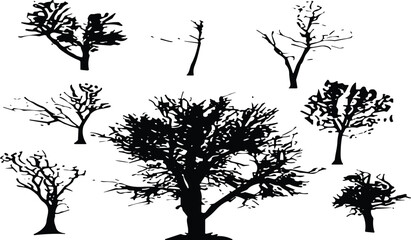 Collection of detailed leafless tree silhouettes showcasing diverse natural shapes, branches, textures, winter scenery elements, forest artwork, and seasonal botanical illustrations