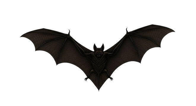 Bat flying with open wings isolated PNG with Transparent Background