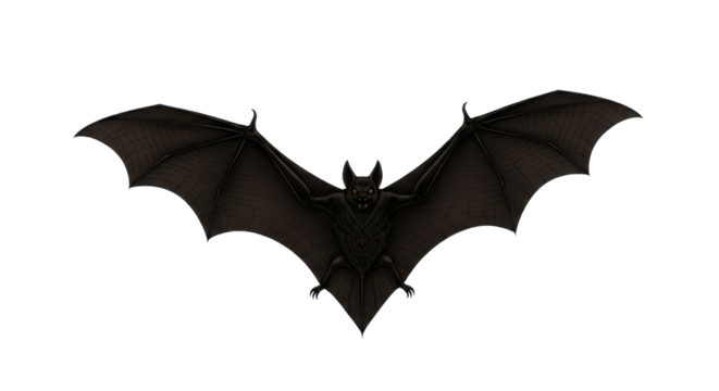 Bat flying with open wings isolated PNG with Transparent Background