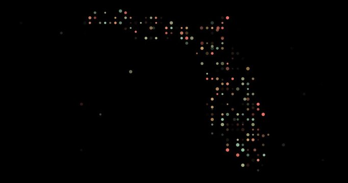 Technology Dots Visualize the Florida Map Display Graphic