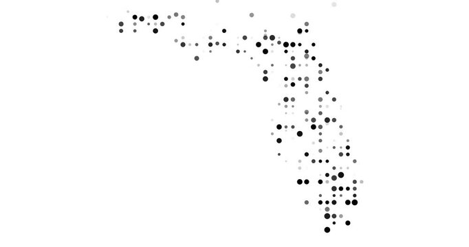 Modern Abstract Orbs Outlining the Florida State Map