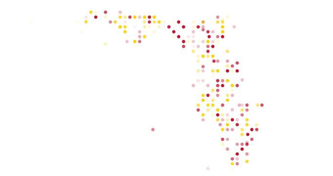 Falling Particle Geometry Forming Accurate Map of Florida