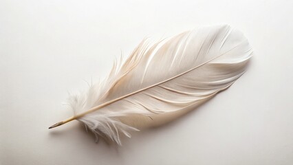 Obraz premium A Single Delicate Off-White Bird Feather Resting on a Smooth Surface, Capturing the Intricate Details and Gentle Curves of Nature's Design