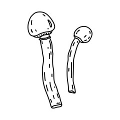 Two mushrooms isolated on a white background. Vector hand-drawn illustration in doodle style. Perfect for decorations, logo, autumn and forest themes, various designs.