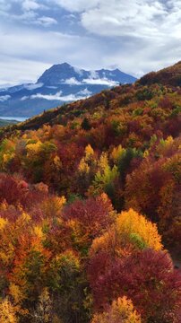 vertical video: idyllic colourful autumn landscape in the French Alps, autumn trees along a road in the mountains, road trip in Europe in the fall