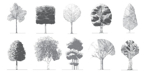 Collection of ten diverse hand drawn trees in grey tones with varied textures and shapes on a white background