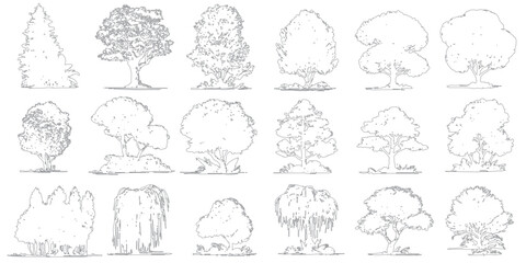 Collection of diverse tree line drawings including pine weeping willow and deciduous varieties on white background