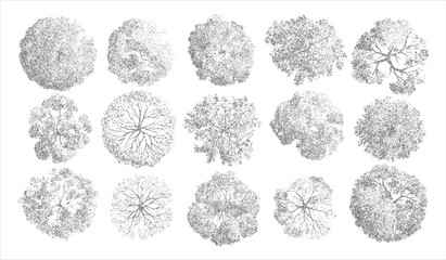 Obraz premium Fifteen diverse grey dot art trees viewed from directly above showing varied canopy shapes and branch structures on a white background