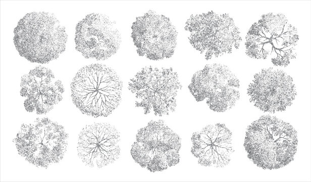 Fifteen diverse grey dot art trees viewed from directly above showing varied canopy shapes and branch structures on a white background