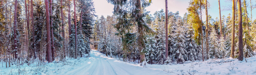 Zima w lesie na Mazurach.