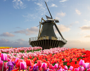 Dutch close up scenery with windmill of Zaanse Schans over river water at spring day, Netherlands
