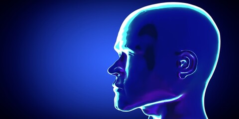 Obraz premium Male anatomy - head - 3d illustration
