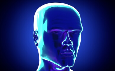 Male anatomy - face - 3d illustration