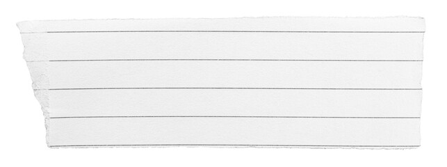 Cut out torn piece of white ruled lined paper memo note with rough texture edges and copy space for text, transparent png background design element