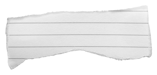 Cut out torn piece of white ruled lined paper memo note with rough texture edges and copy space for text, transparent png background design element