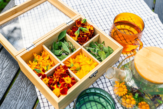 Homemade tea with mint and vibrant flowers