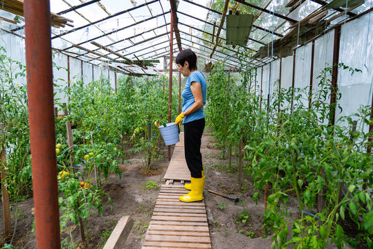 Middle-aged woman gardening in a greenhouse