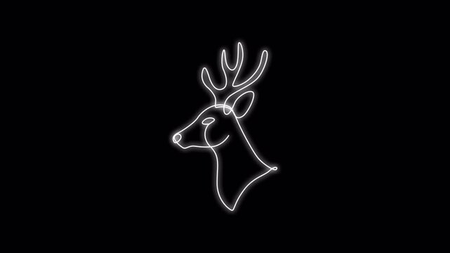deer one line art white glow animation video 4K