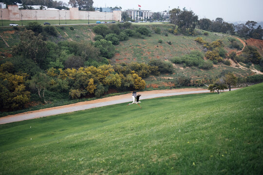 Scenic view of a couple in formal attire walking hand in hand on a grassy hillside, surrounded by lush greenery and a winding path, capturing a romantic outdoor moment
