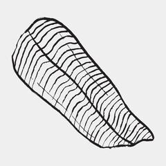 Hand drawn salmon fillet. Vector sketch illustration in vintage crayon charcoal style. Seafood, packaging design