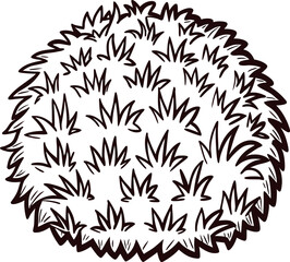 Round bush overhead view illustration with spiky leaves isolated on white garden shrub sketch in hand drawn