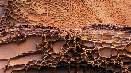 Intricate erosion patterns on coastal sandstone rocks